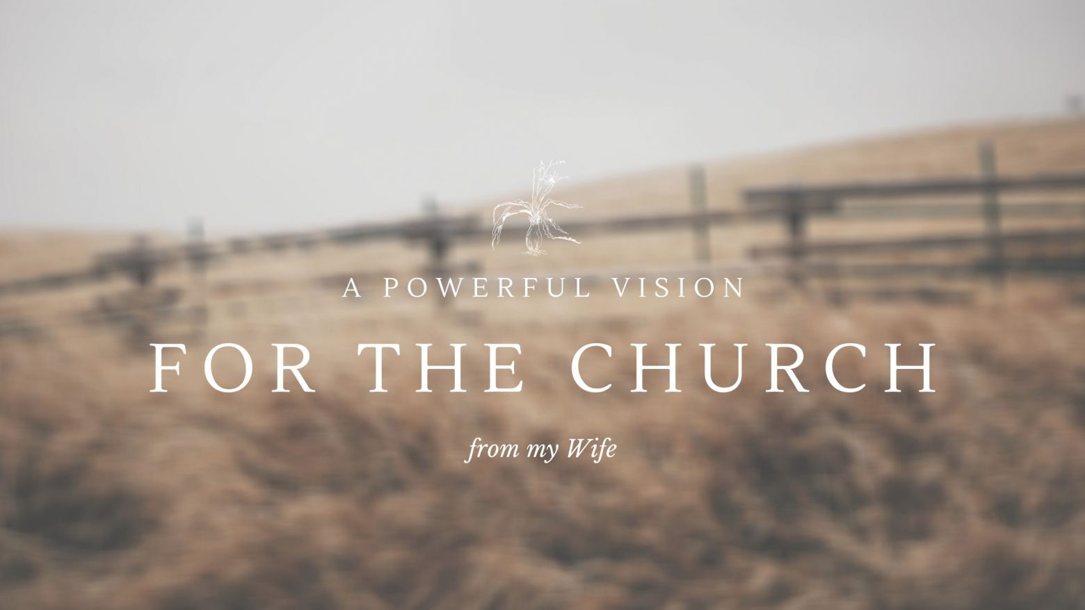 Powerful vision for the church